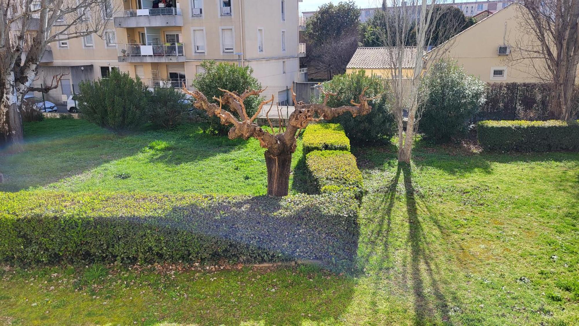 Les Tourterelles D'Avignon 2 Apartman Kültér fotó